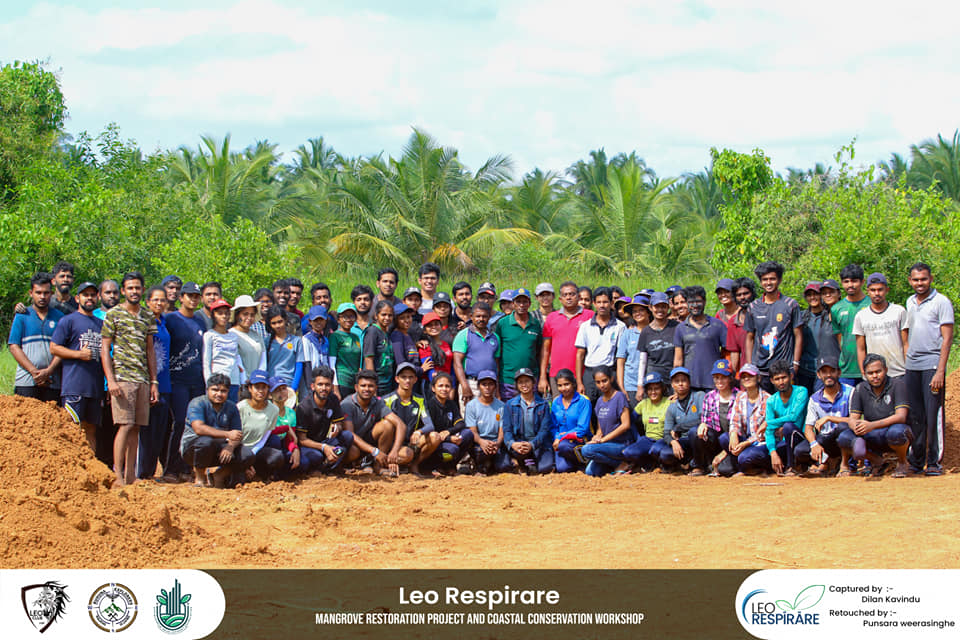 LEO RESPIRE Mangrove Plantation Programme
